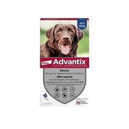 ADVANTIX chien 25-40kg : 4 pipettes