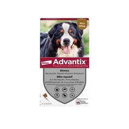 ADVANTIX chien 40-60kg : 4 pipettes