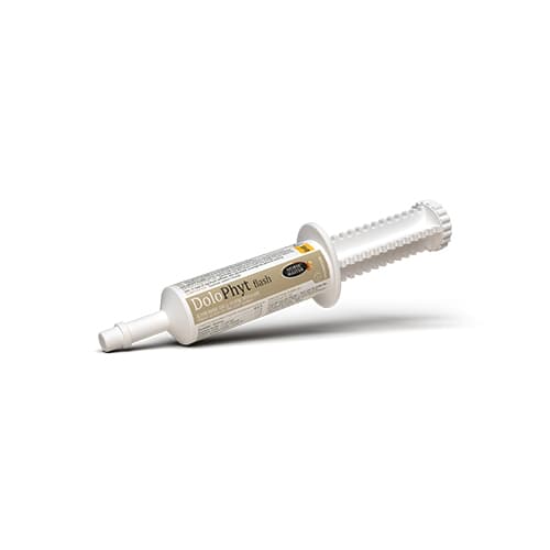 Seringue orale de 30ml Horse Master Dolophyt Flash pour le confort articulaire du cheval.