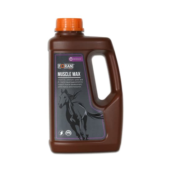 Bidon marron de 1 Litre de solution liquide Muscle Max Foran Equine pour le développement musculaire du cheval.