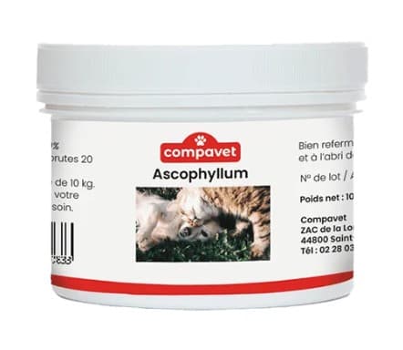 Pot de 100g d'Ascophyllum Compavet pour l'hygiène dentaire des chiens et chats, aide contre le tartre et la plaque dentaire.