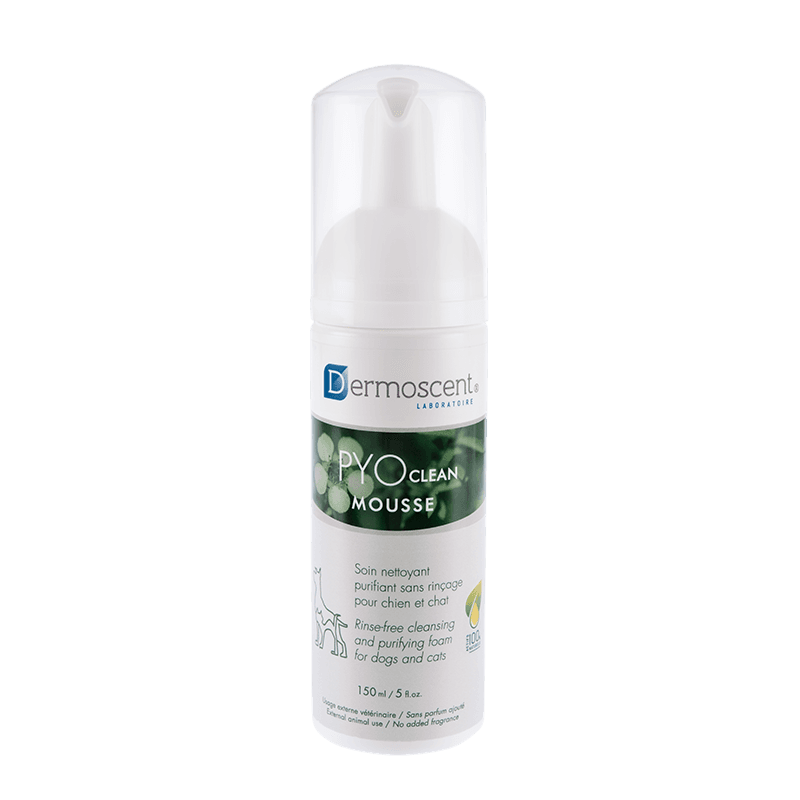 Flacon Dermoscent PYOclean Mousse 150ml shampooing sec purifiant chien chat sans rinçage.