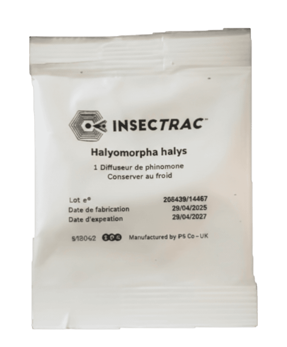 Sachet blanc de phéromone Insectrac pour punaise diabolique Halyomorpha halys, avec instructions de conservation au froid et dates de fabrication/expiration.