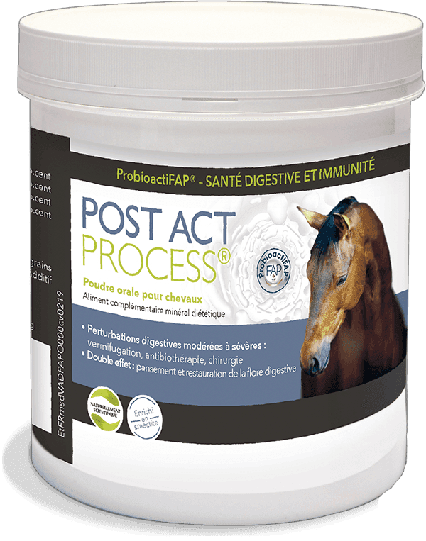 Pot Post Act Process 500g poudre orale cheval digestion argile smectite MSD.