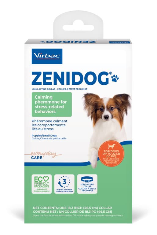 Collier Zenidog petit chien Virbac apaisant phéromones durée 3 mois chiot