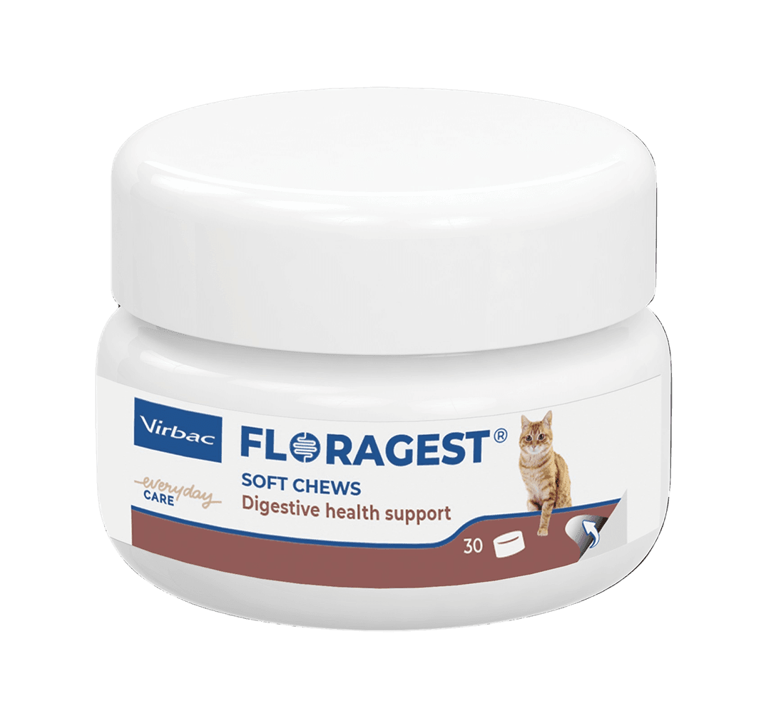 FLORAGEST Chat Virbac pot de 30 bouchées prébiotiques et postbiotiques pour le confort digestif du chat