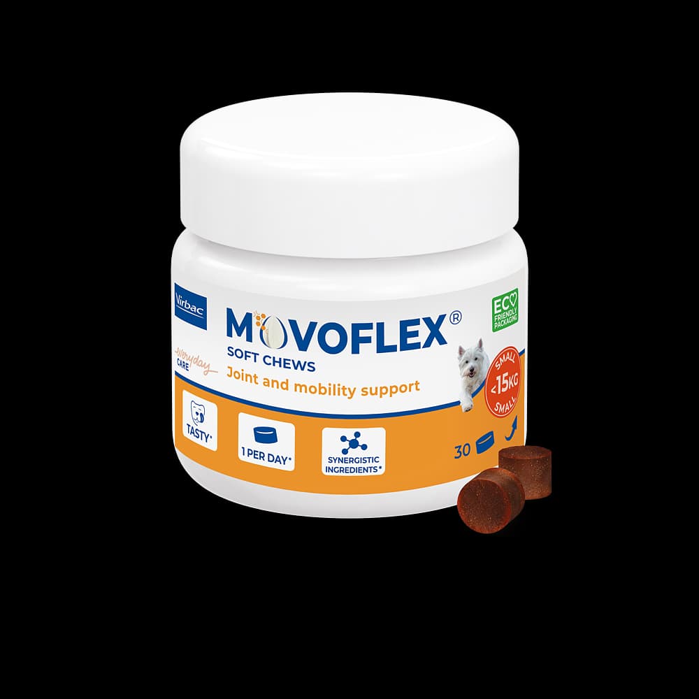 Pot blanc de MOVOFLEX S Virbac avec un visuel de Westie, contenant 30 bouchées moelleuses pour le soutien articulaire des petits chiens de moins de 15 kg.