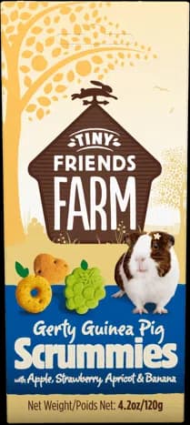 Boite de 120g de biscuits friandises aux fruits Tiny Friends Farm Gerty Guinea Pig Scrummies pour cochon d'Inde