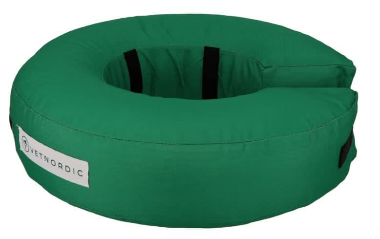 Collier de protection gonflable vert taille XXL pour chien géant Saint Bernard.