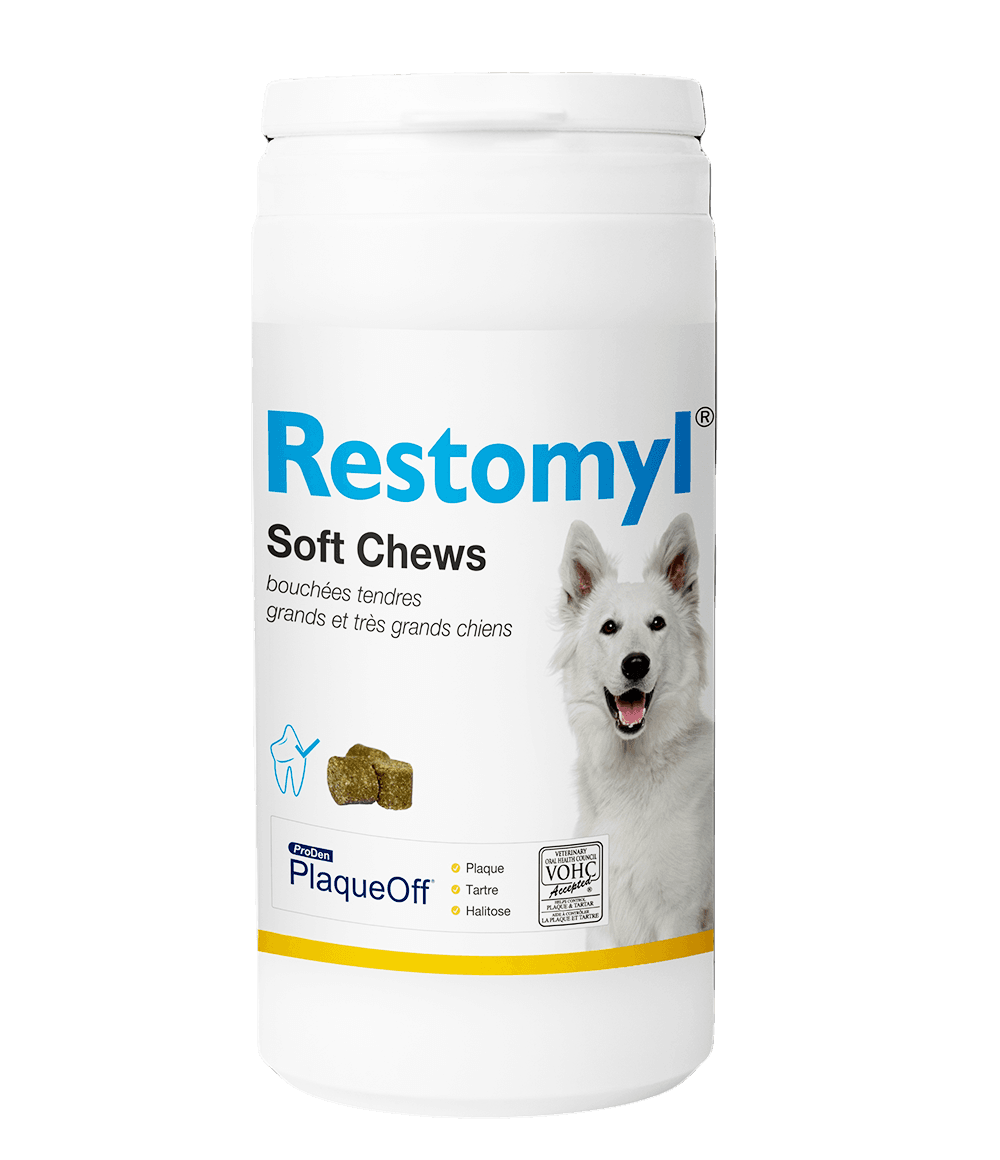 Boîte de 60 bouchées tendres bucco-dentaires Restomyl PlaqueOff Soft Chews pour chien.