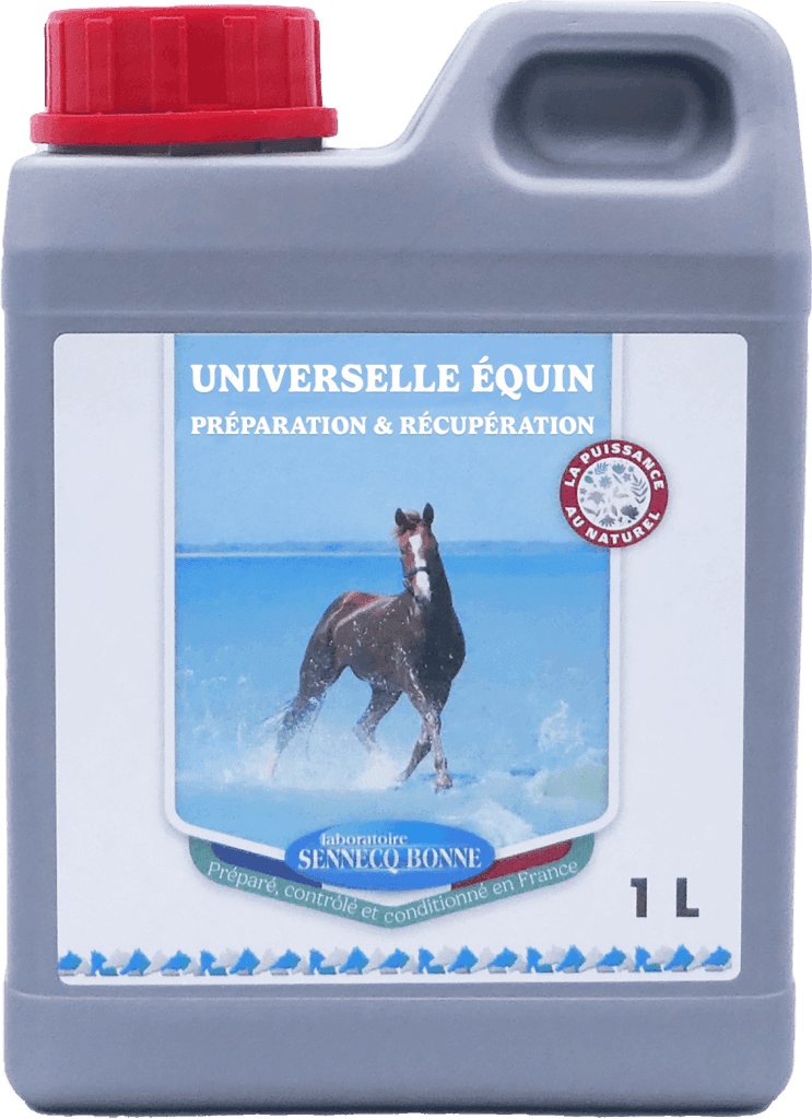 Flacon gris de 1 Litre de complément liquide Universelle Équin Préparation et Récupération Sennécq'bonne avec bouchon rouge et photo de cheval.