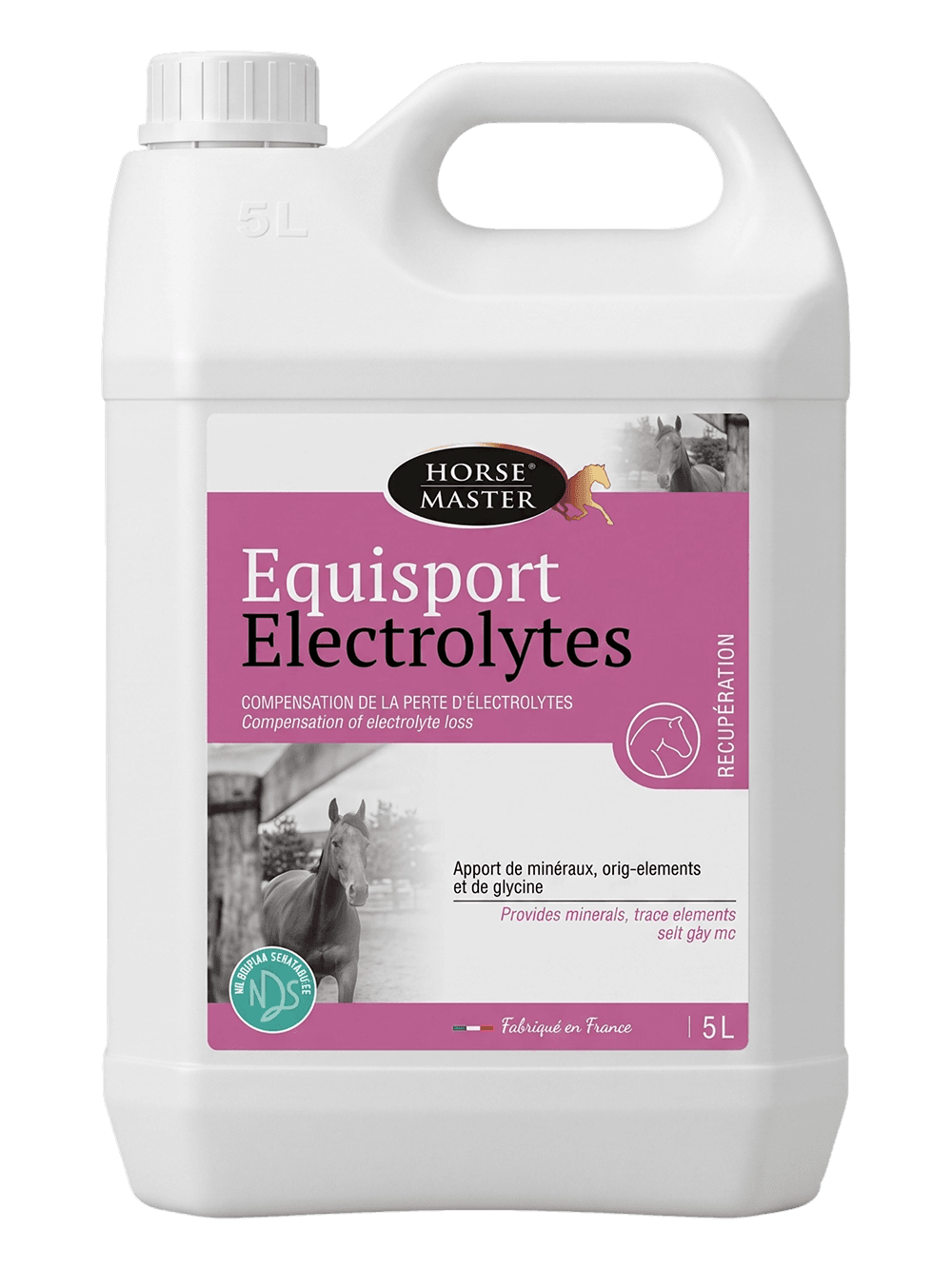 Bidon 5L d'électrolytes liquides Horse Master Equisport Electrolytes pour la récupération du cheval.
