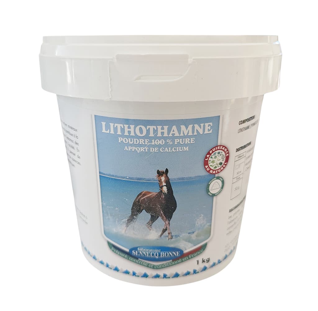 Seau blanc de 1 kg de poudre pure de Lithothamne pour l'estomac et les os des chevaux par le laboratoire Sennécq'bonne.