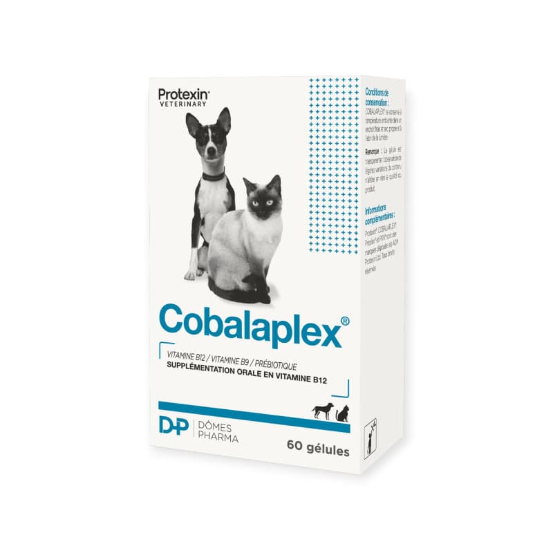 Boîte de Cobalaplex 60 gélules TVM pour chien et chat, complément alimentaire riche en vitamine B12 et acide folique pour soutenir la digestion.