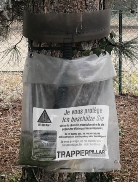 TRAPPERPILLAR piègeage chenilles processionnaires