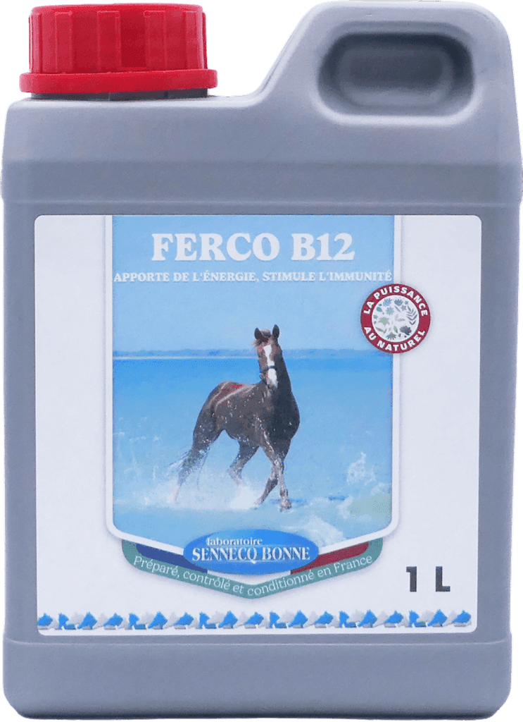 Bidon gris de 1 litre de FERCO B12 NF par Sennecq Bonne, complément alimentaire pour l'énergie et l'immunité du cheval avec visuel d'un cheval galopant dans l'eau.