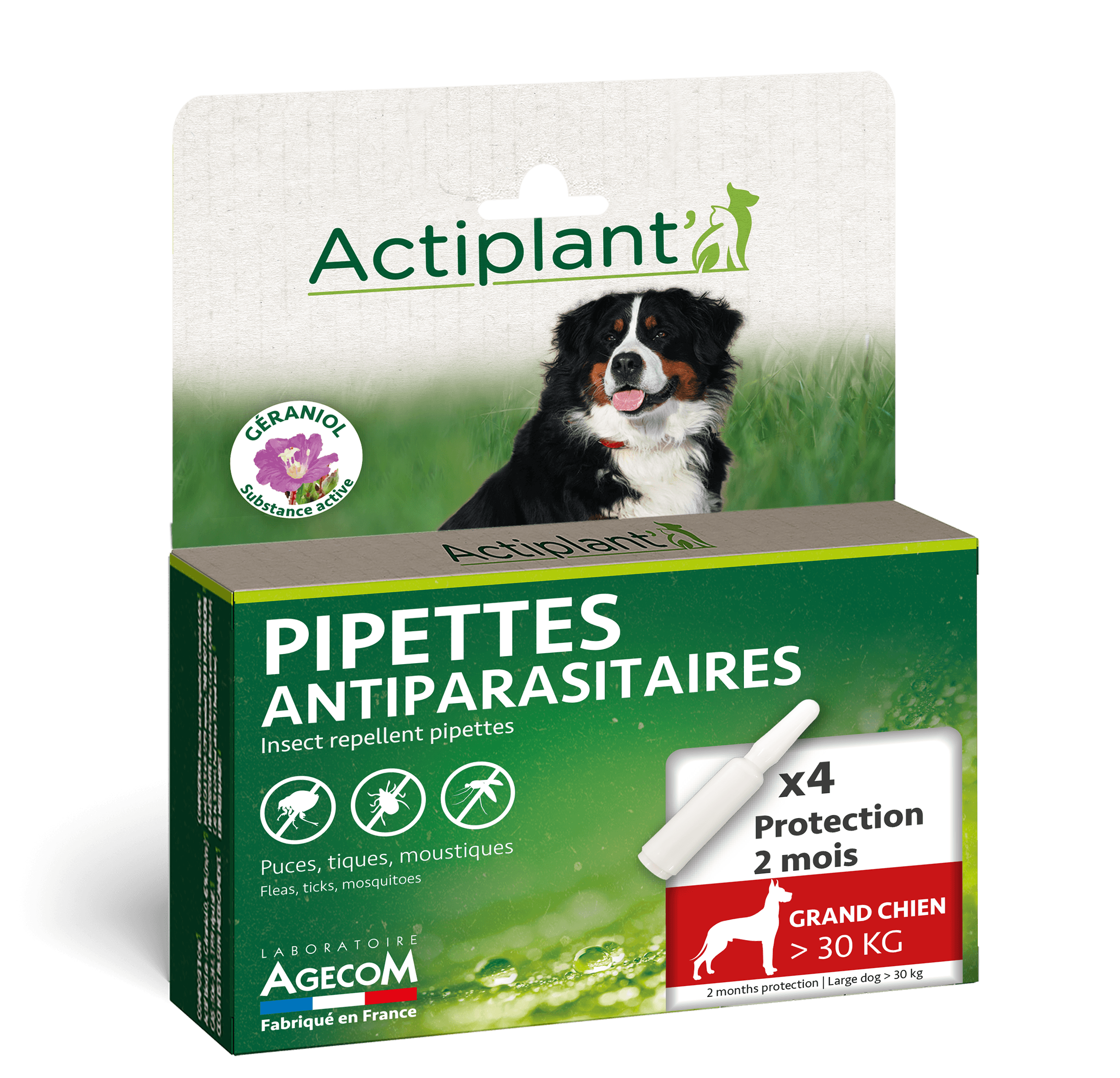 Boîte 4 pipettes antiparasitaires Actiplant grand chien plus de 30kg géraniol.