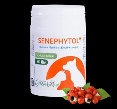Senephytol 30 comprimés GreenVet – complément tonus et vitalité pour chiens et chats.