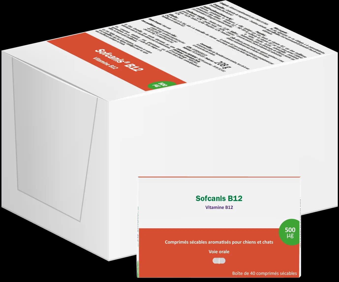 ofcanis B12 400 comprimés – complément vétérinaire riche en vitamine B12 pour chien, chat et coq, soutien de la vitalité et du métabolisme énergétique.
