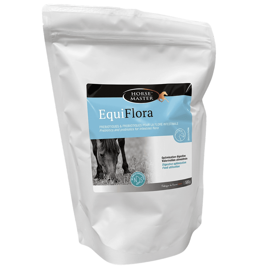 Seau de poudre Equiflora Horse Master pour l'équilibre de la flore digestive et le soutien immunitaire du cheval.