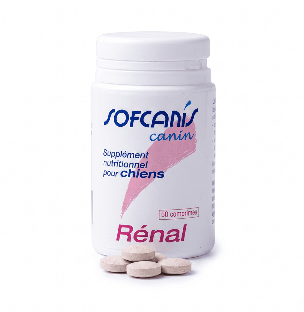 Flacon pilulier blanc de 50 comprimés de supplément nutritionnel Sofcanis Canin Rénal pour chien.