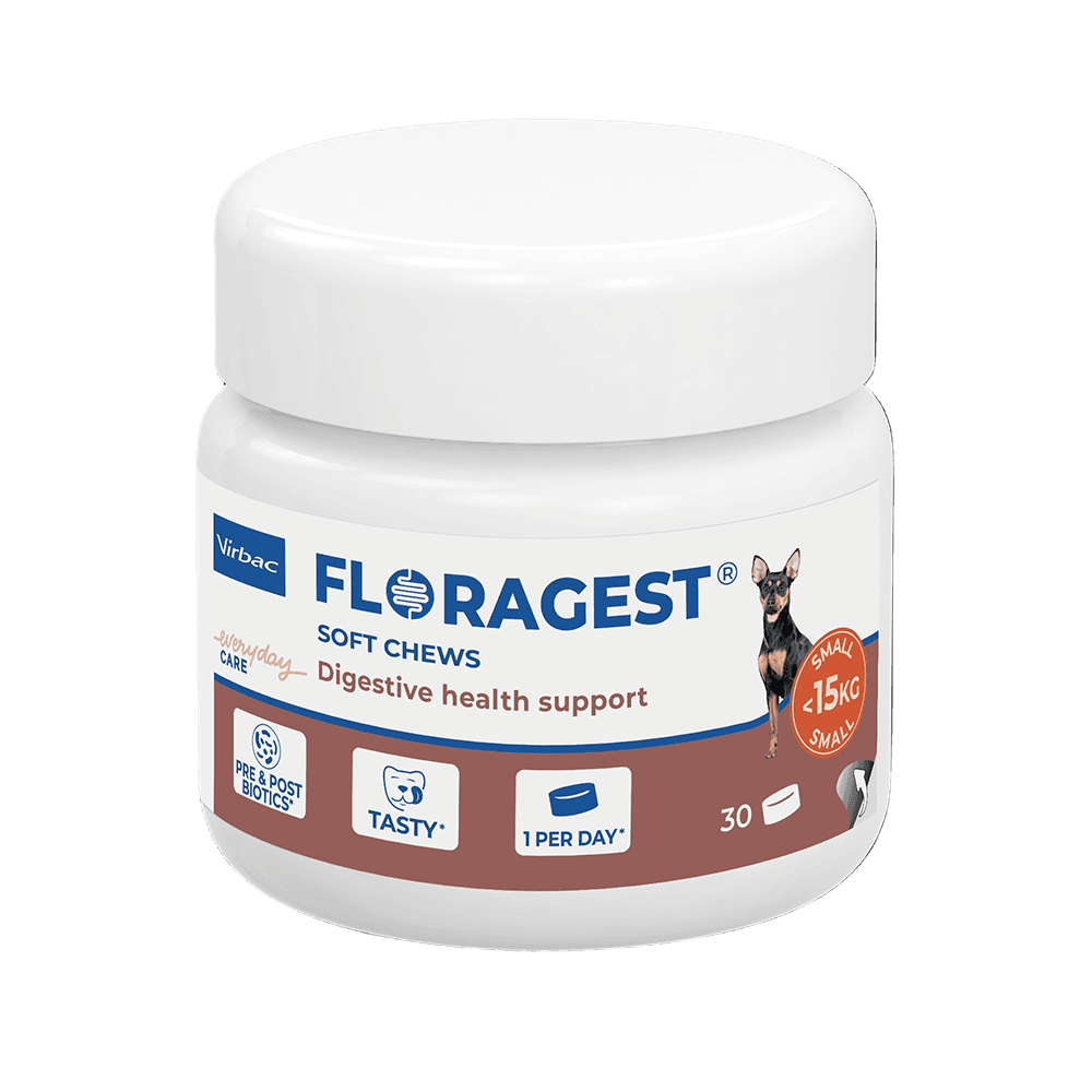 FLORAGEST Chien S Virbac 30 bouchées prébiotiques et postbiotiques pour chiens de moins de 15 kg