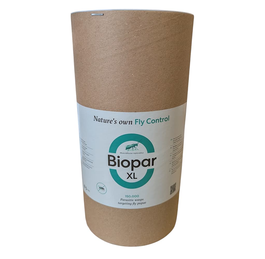 Tube Biopar XL Bestico 150 000 guêpes parasitoïdes format professionnel anti-mouches