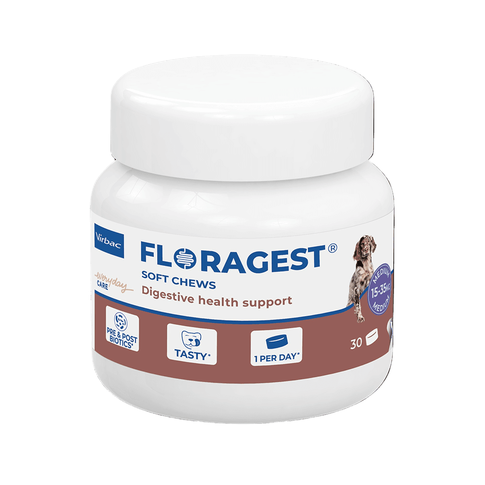 FLORAGEST Chien M Virbac 30 bouchées prébiotiques et postbiotiques pour chiens de 15 à 35 kg Mots-clés :