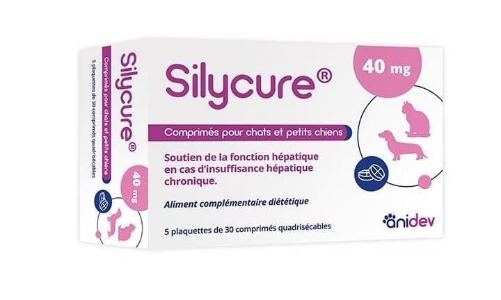 Silycure 40 mg – boîte de 150 comprimés quadrisécables soutien de la fonction hépatique chiens et chats insuffisance hépatique chronique