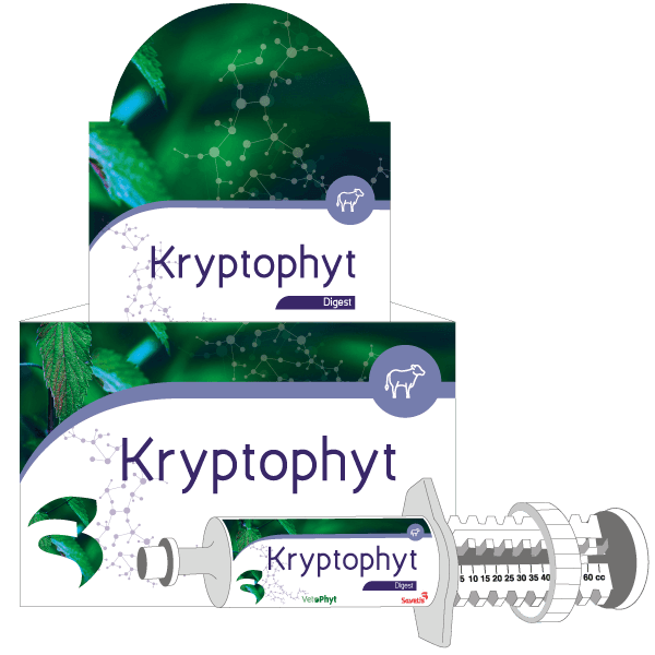 KryptoPhyt boîte de 12 seringues de 100 ml aliment complémentaire digestif et électrolytique pour veaux
