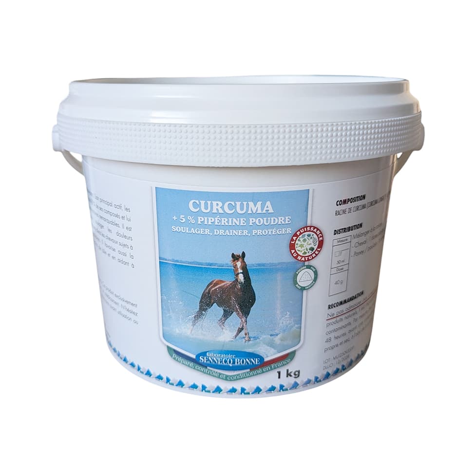 Seau blanc de Curcuma + Pipérine 5 % du Laboratoire Sennelco Bonne, poudre naturelle pour chevaux, soutenant la digestion, les articulations et la détoxification hépatique.