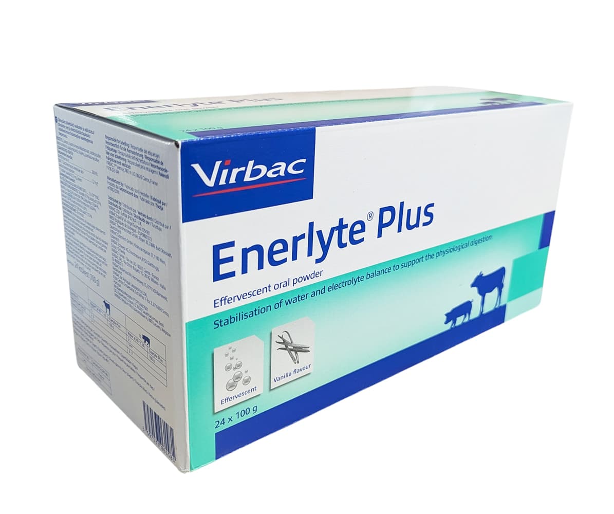 Boîte de 24 sachets d’Enerlyte Plus Virbac 100 g, poudre effervescente pour réhydratation et équilibre électrolytique des veaux et agneaux.