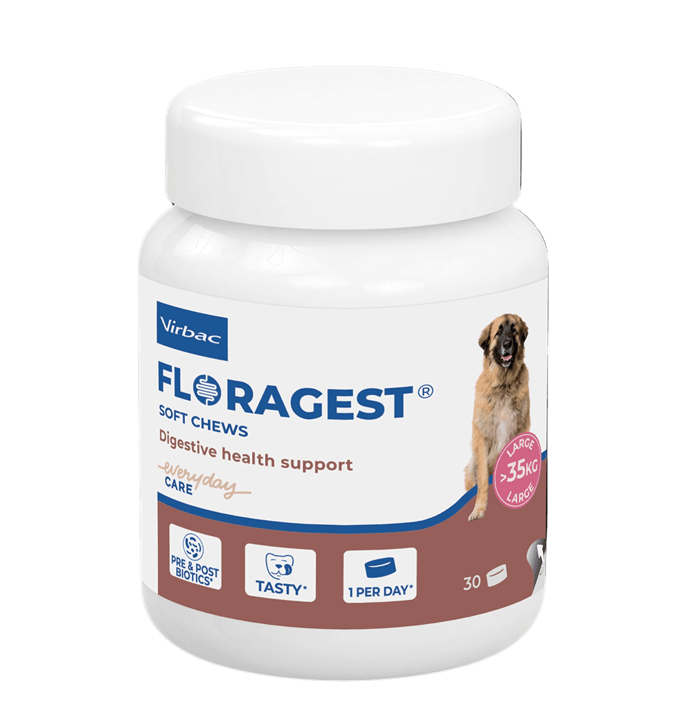 FLORAGEST Chien L Virbac 30 bouchées prébiotiques et postbiotiques pour chiens de plus de 35 kg
