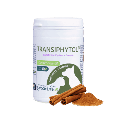 Boîte de 30 comprimés TRANSIPHYTOL® par Green Vet, complément alimentaire naturel pour le confort digestif des chiens et chats, à base de lactoferrine et cannelle.