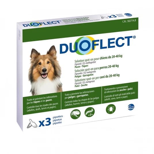 Boîte Duoflect 3 pipettes pour grand chien 20-40kg anti-puces et tiques Fipronil Méthoprène