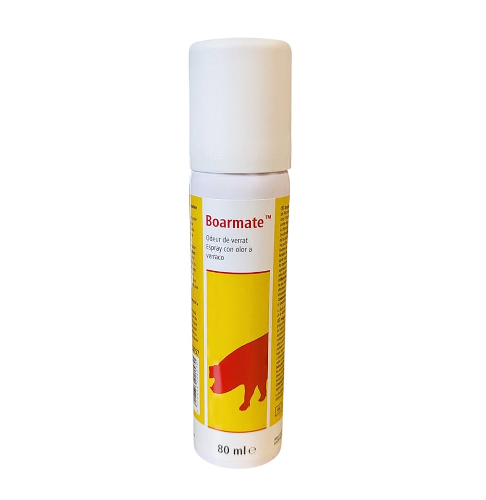 Flacon aérosol blanc et jaune de 80 ml de spray Boarmate odeur de verrat pour la détection des chaleurs chez la truie.
