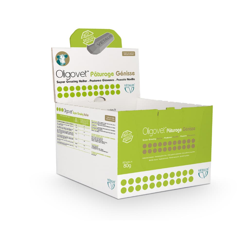 Boîte verte Oligovet Pâturage Génisse 20 bolus 80g Vétalis croissance bovin.