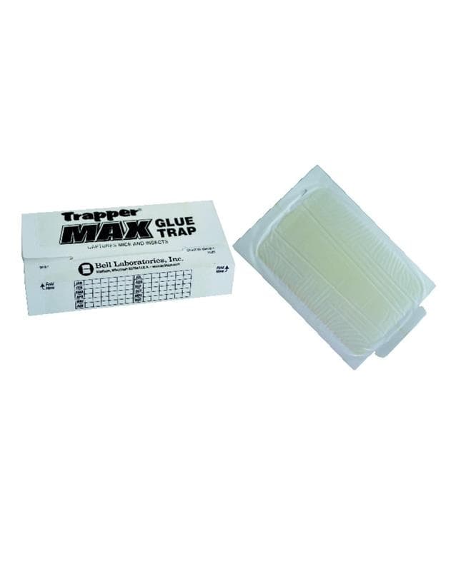 Piège à glu TRAPPER MAX Bell Laboratories capture souris et blattes carton SFI.