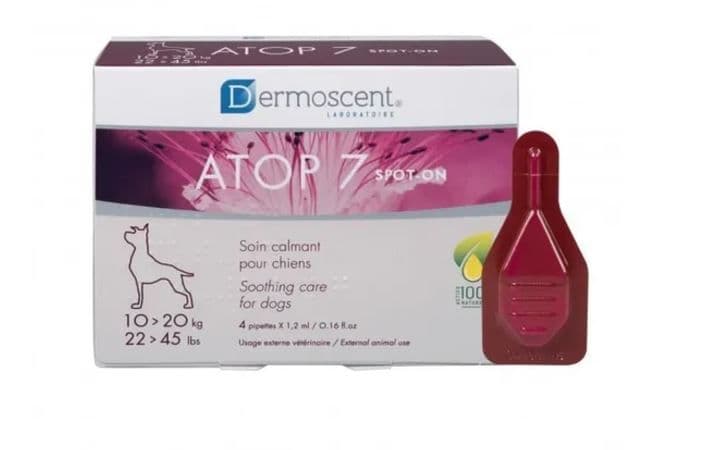 Boîte et pipette de soin apaisant Dermoscent ATOP 7 Spot-On pour chiens de 10 à 20 kg.