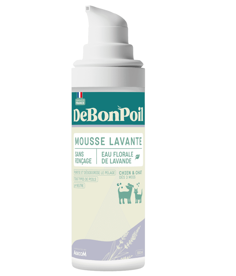 Flacon pompe blanc de 150 ml de Mousse Lavante Sans Rinçage DeBonPoil pour chien et chat à l'eau florale de lavande fabriqué en France.