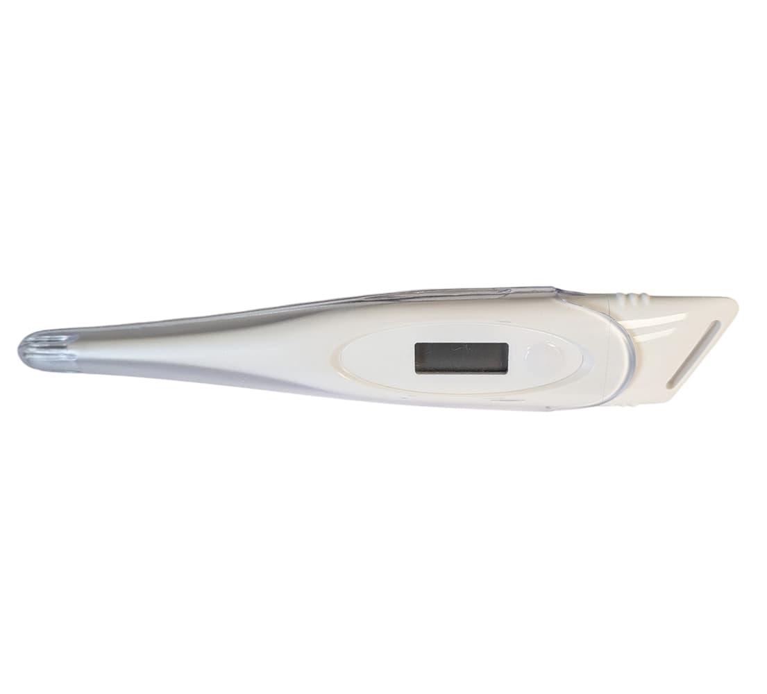 Thermomètre digital électronique de 18 cm pour grands animaux et son étui de protection transparent.