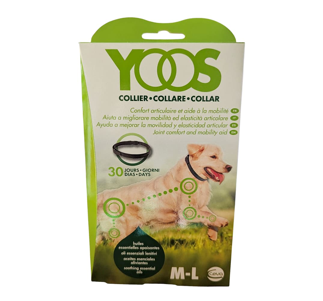 YOOS collier chien de plus de 10 kg - Taille M/L