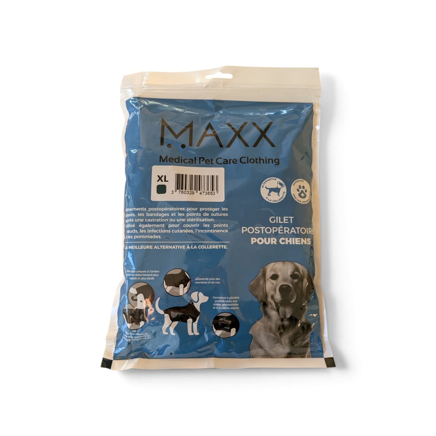 Gilet de protection Dog Shirt taille XL bleu paon sur grand chien (type Berger Allemand), protection post-opératoire.