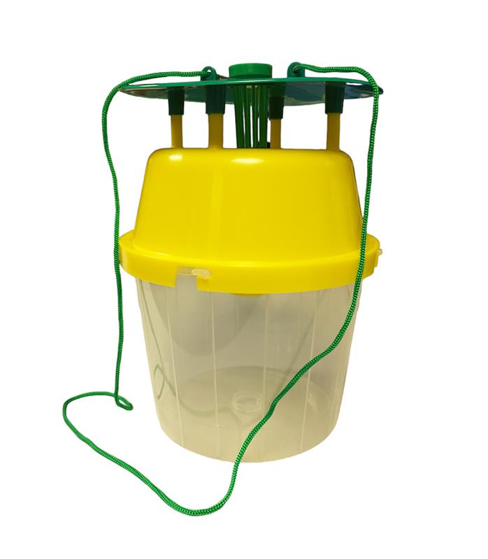 Piège à entonnoir (Funnel Trap) professionnel en plastique jaune et vert avec base transparente, conçu pour la capture des mites alimentaires en environnements poussiéreux.
