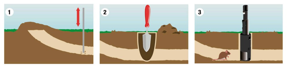 Piège mécanique noir pour campagnols, structure cylindrique avec poignée d'armement supérieure et clapet à ressort haute sensibilité.