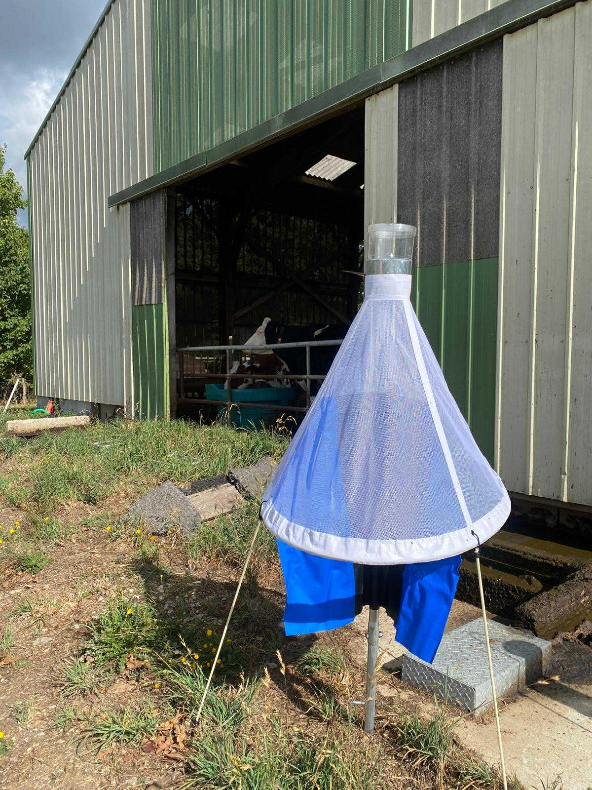 Piège BSFT Bestico protection sanitaire dermatose nodulaire contagieuse DNC contre mouches piqueuses