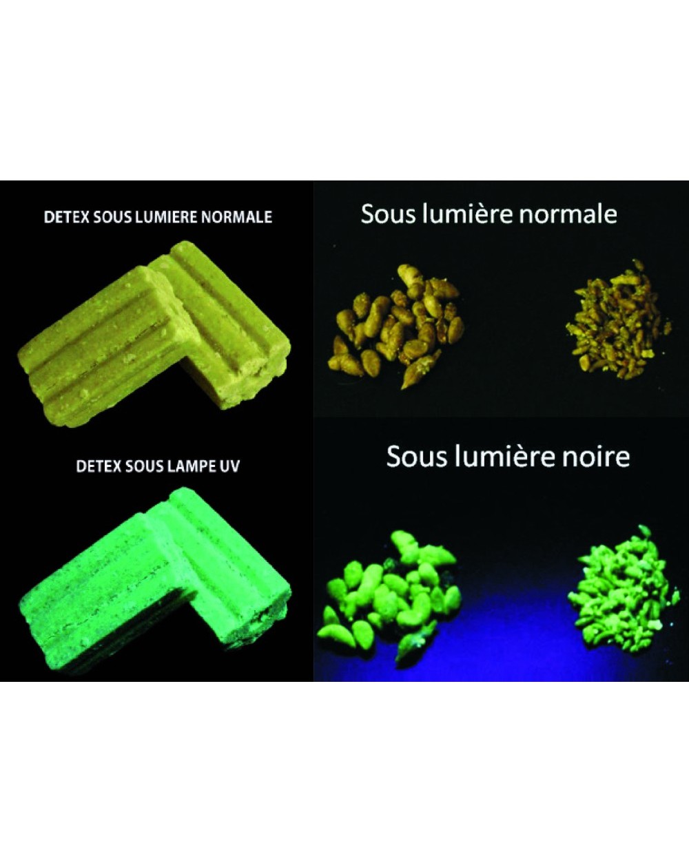 Detex Blox Lumitrack appât non toxique détection rongeur et traceur fluorescent seau 4kg