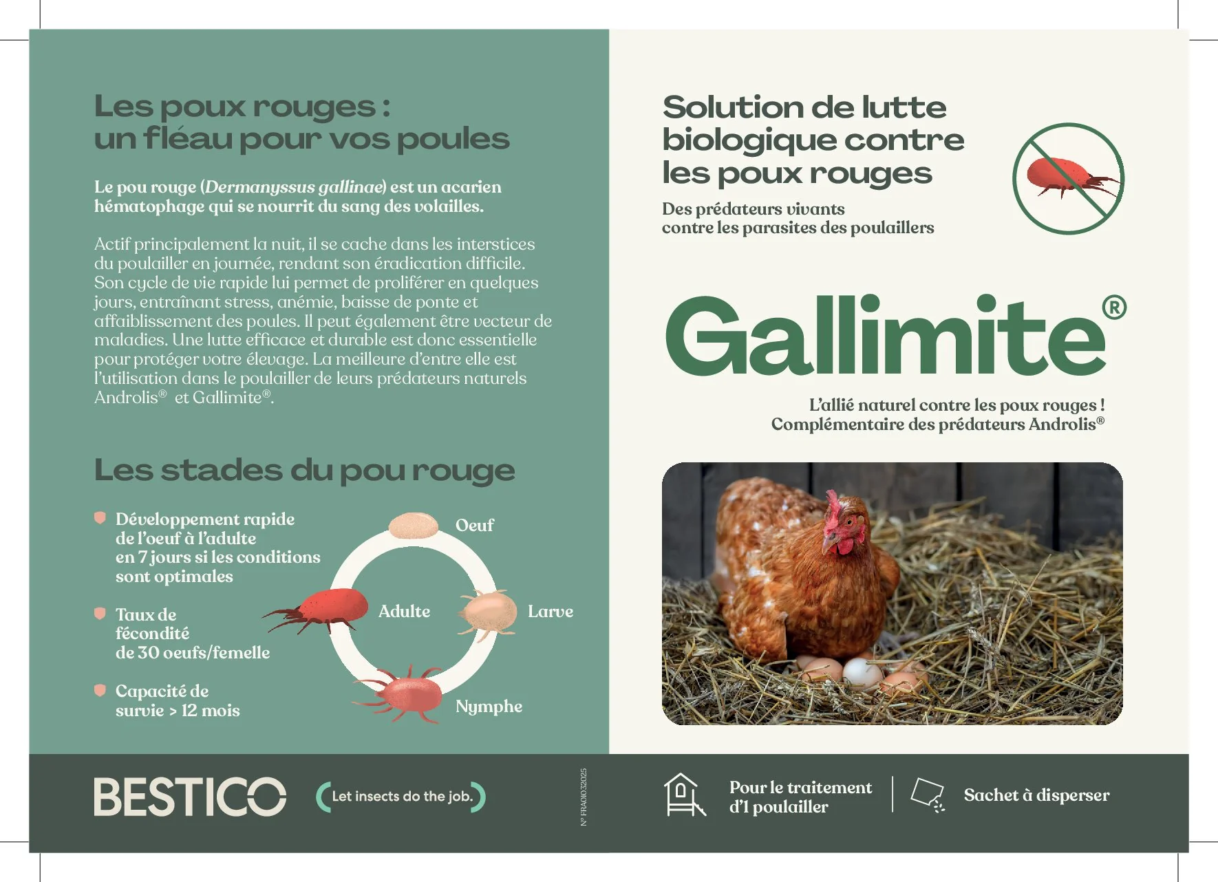 Sachet Gallimite Bestico lutte biologique poux rouges poulailler prédateurs naturels Androlaelaps casalis