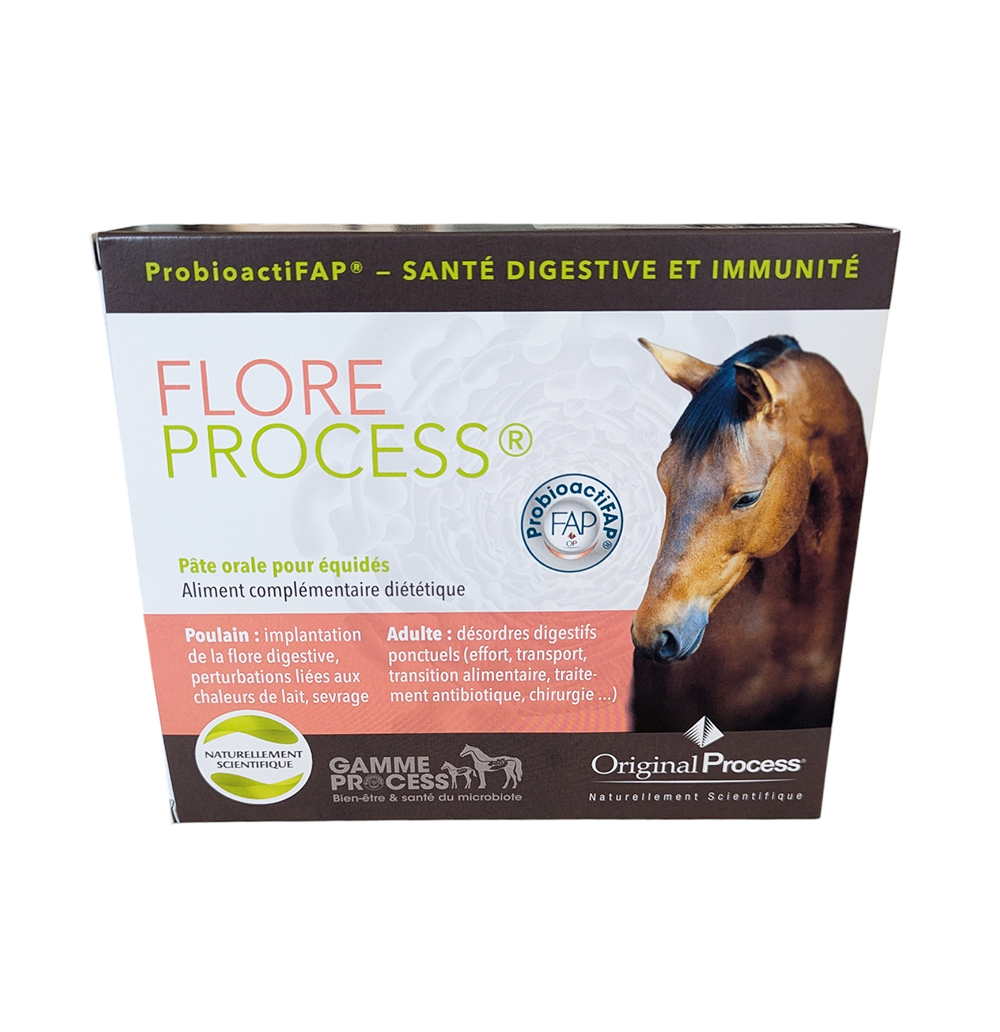 Flore Process MSD pâte orale cheval probioactifap boite 5 seringues.