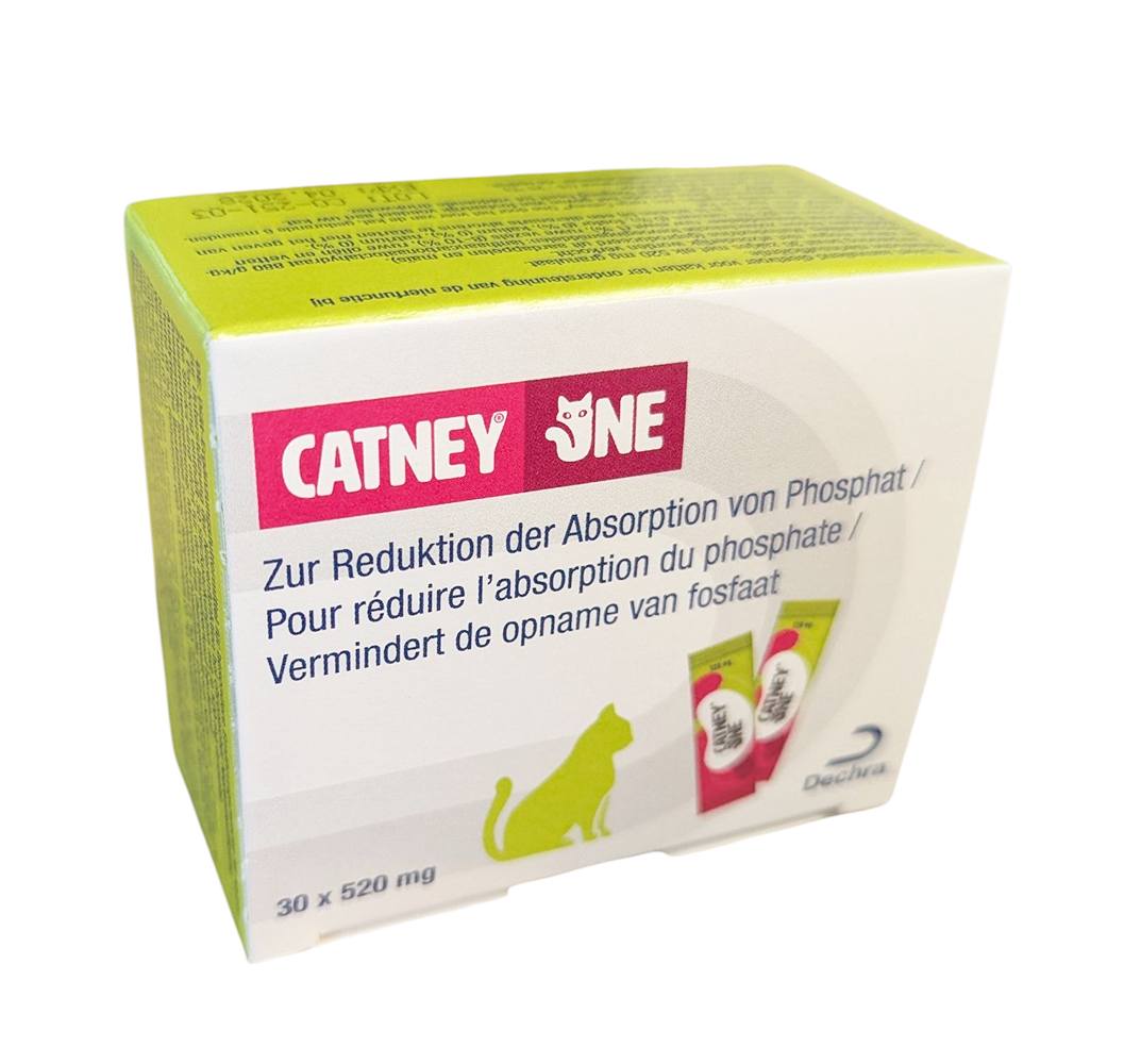 Boîte de Catney One Powder Chat Dechra 30 sachets fixateur de phosphate rénal.– Réduction de l’absorption du phosphate